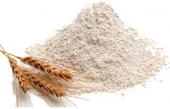 Wheat Flour by Tri Bees Trade Zone