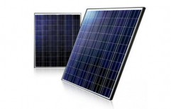 Surzsol Solar Modules by New Era Solar