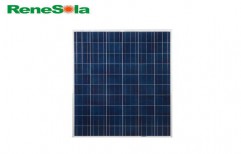 Renesola Solar Panel by Solaris Energy