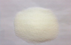 Super Absorbent Polymer (SAP) by Chemzest Enterprises
