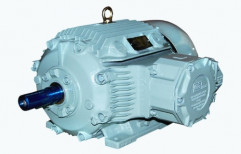 Flame Proof Motors Ex (d) by Power Drives Enterprises India Private Limited