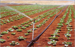 Sprinkler Irrigation System by Hira Agro Services