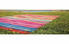 Rainbow Carpet by Shree Interiors