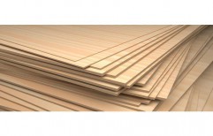 Laminated Wooden Plywood by KK Enterprises