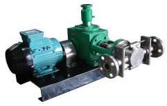 Viscous Slurry Transfer Pump by Noble Procetech Engineers