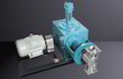 Lime Dosing Pumps by Minimax Pumps Private Limited