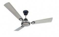 Silver Blue Ceiling Fans by S K Traders