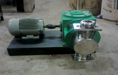 Dosing Pumps by Noble Procetech Engineers