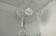 Crompton Ceiling Fans by Om Sai Traders