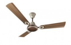 Pearl Brown Gold Ceiling Fans by S K Traders