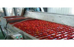 Tomato Processing Plant by Choudhry Combines India Private Limited