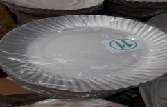 Disposable Plate by S.S Enterprises