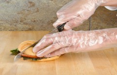 Disposable Food Grade Vinyl Gloves by Shiva Industries