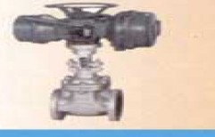 Gate Valves by Global Group Of Companies