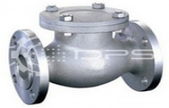 Non Return Valves by Dencil Pumps & Systems Private Limited
