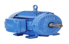 Standard 3 PH TEFC Motor for Squirrel Cage Motors by Hanuman Power Transmission Equipments Private Limited