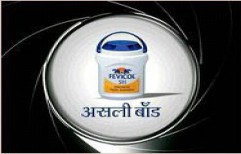 Fevicol Adhesive by Sri Ram Hardware And Plywoods