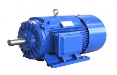Foot Mounted Induction AC Electric Motor by Perfect Engineers