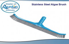 Stainless Steel Algae Brush by Austin India