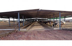 Dairy Farm Sheds by Yash Enterprises