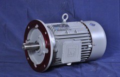 Flange Mounted (B5) AC Three Phase Electric Induction Motor by Reeva International