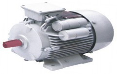 Induction Motor-Phase one by SSI Pump Industries Karnal