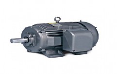 Standard TEFC Motor by Hanuman Power Transmission Equipments Private Limited