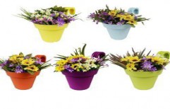 Truphe Railing Pots Multi Color Set of 5 by Truphe Traders LLP