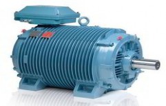 ABB Electric Motors by Manohar Electric & Machinery Store