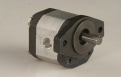 Cast Iron Gear Pump by Visflow Helical Pumps