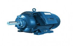 Remi Flameproof Motors by Hanuman Power Transmission Equipments Private Limited