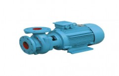 Domestic Pumps by Paramount Engineers