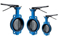 Double Flanged Butterfly Valve by Siddhi Agencies