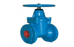 Gate Valve by Wintech Engineers