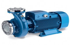 Industrial & Domestic Pump by Hanuman Power Transmission Equipments Private Limited