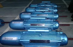 Single Phase Electric Motors by Mahaveer Pumps
