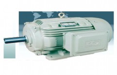 Crompton Electric Motor by Hanuman Power Transmission Equipments Private Limited