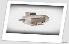 Electric Induction Motor by Anup Industries
