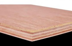 Greenply 1540 mm x 1220 mm Green Mr Plywood by Sri Ram Hardware And Plywoods