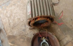 Motor Repairing Services by Gogawale Electricals