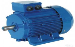 Standard Industrial Induction Motor by Hanuman Power Transmission Equipments Private Limited
