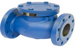 Cast Iron Check Valve by Agarwal Traders