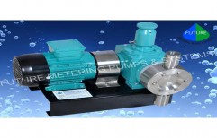 SS Diaphragm Type Dosing Pump by Future Metering Pumps & System