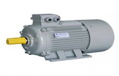 Electric Induction Motor by Elite Electricals