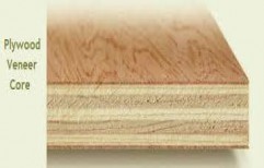 Plywood Cores Poplar, Lumber, Veneer by Futuristic Supplies & Infra Services