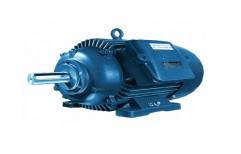 Remi Electric Motor by Hanuman Power Transmission Equipments Private Limited