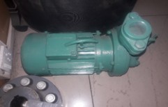Water Pump by Wilo Mather And Platt Pumps Private Limited