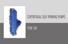 Centrifugal Self Priming Pumps by B. E. Pumps Private Limited