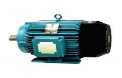 Crompton Greaves Dual Speed Motor by Hanuman Power Transmission Equipments Private Limited