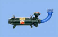 Delux Horizontal Openwell (C.I) by Delite Pumps